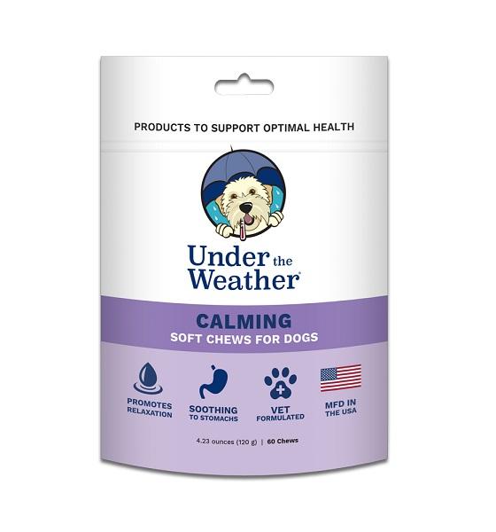 10 Best Calming Aids for Pets PetHub